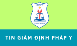 TIN GIAM DINH PHAP Y
