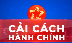 cchc
